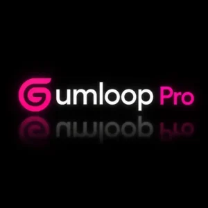 GUMLOOP PRO(ANNUAL)