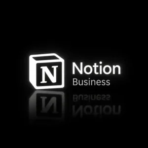 Notion business AI(ANNUAL)