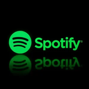 Spotify Platinum